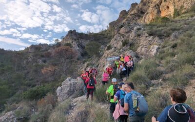 Descubre Crevillent Corriendo: ¡Próximas Salidas y Eventos!